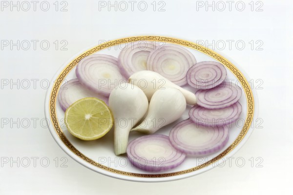 Slice of onions Latin Allium Cepa on a plate, used as a vegetables and salad, India, Asia