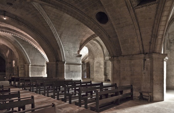 Frankr St-Gilles-du-Gard Abbey Church 60067 Crypt Interior facing south-east with flat ribbed vault