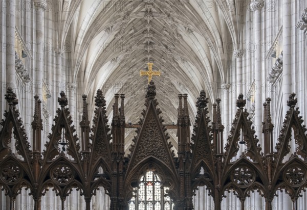 Winchester, Cathedral, view from the choir to the east with choir stalls, rood screen