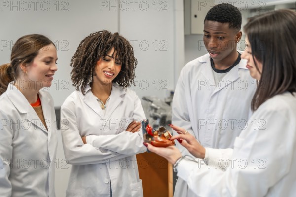 Professor showing a heart model to her students during an anatomy lesson in university classroom