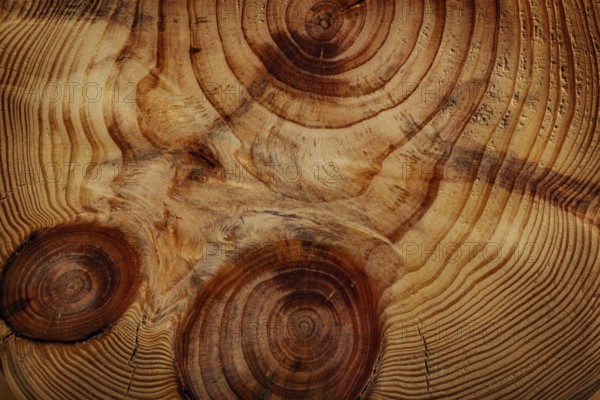 Abstract Wood Texture With Cross Cut