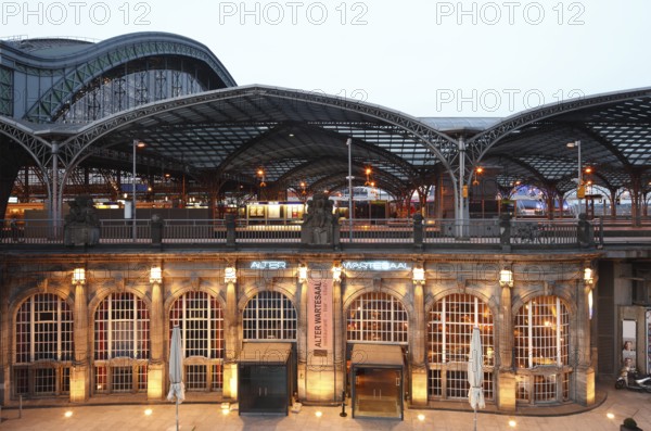 Platform concourse from 1894, in front of it modern platform roofing by Busmann & Haberer, below it