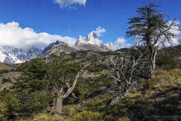 Trekkers at Cascada Martin with a view of the Fitzroy Massif, El Chaltén, Los Glaciares National