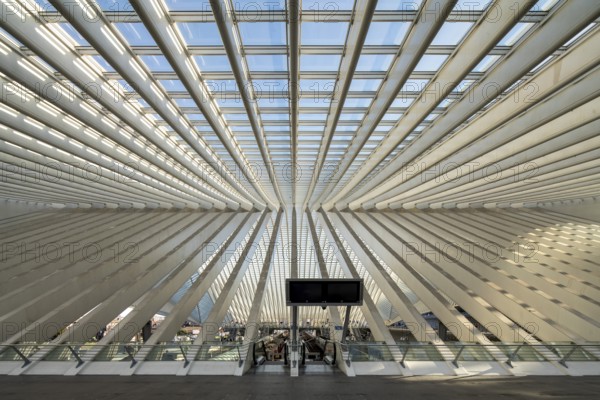 Liège, Liège-Guillemins railway station, design 2009 Santiago Calatrava, concrete pillars of the