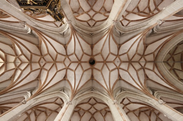 Vault in the nave, St., Sankt, Saint
