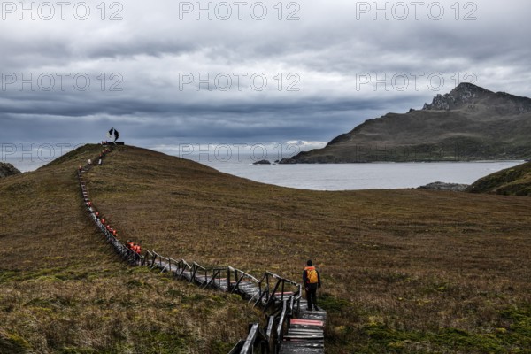 Wooden boardwalk to the Monumento Cape Horn, Cabo de Hornos National Park, southernmost point of
