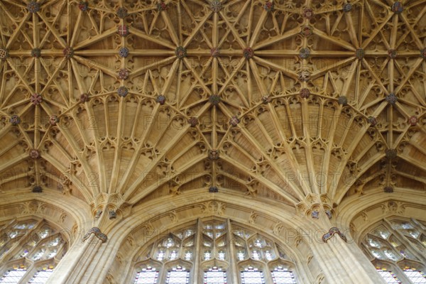 Vault in the nave, St., Sankt, Saint
