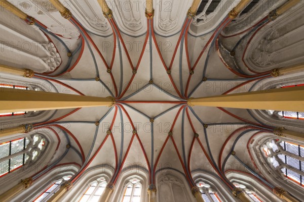 Vault in the chapel of letters, St., Saint, Saint