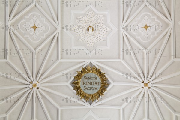 Vault in the nave by Georg Vest