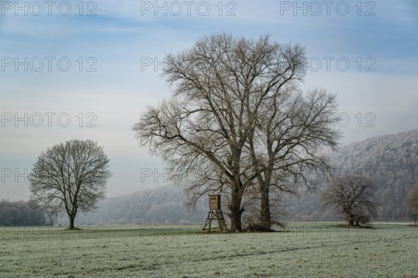 Frost-covered field with large bare trees and a raised hide, under a blue sky, near Heinsen,