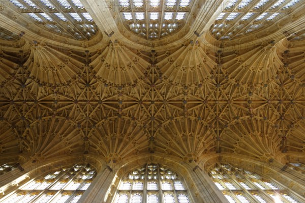 Vaults in the nave, St., Saint, Saint