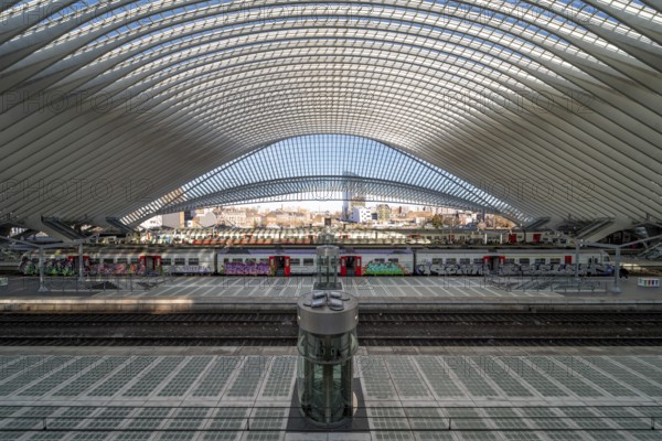 Liège, Liège-Guillemins railway station, design 2009 Santiago Calatrava, station concourse