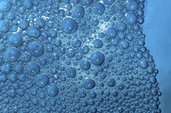 Pattern of soap surf bubbles in blue coloured water 28/12/2008