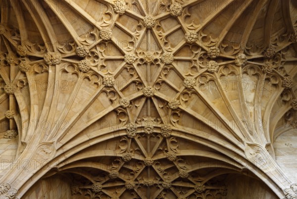 Vaults in the ambulatory, St., Sankt, Saint