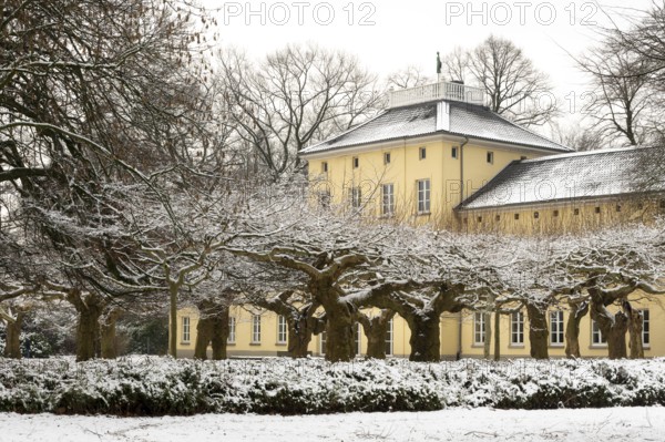 Krefeld, Schönwasserpark, Haus Schönwasser, park side with plane trees
