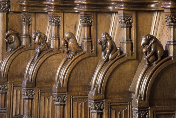 Choir stalls, drolleries on the stall sides with proverbial depictions, 1493 by Johannes Gruter