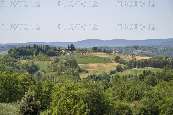 Tuscan landscape, country estate with vineyards, forests, olive trees and cypresses in Chianti,
