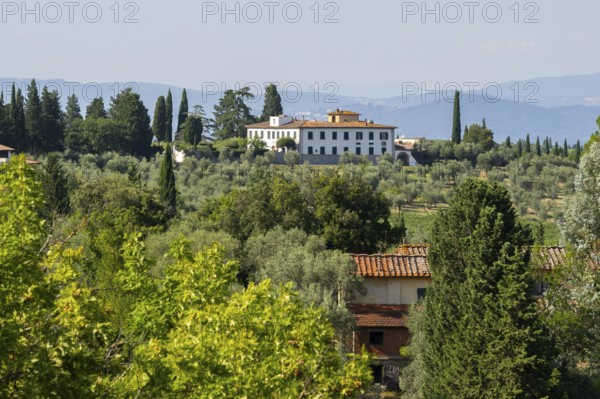 Tuscan landscape, Farm house, country estate with vineyards, forests, olive trees and cypresses in