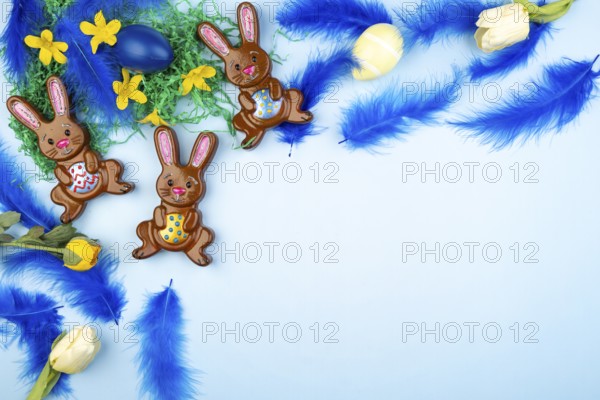 Easter bunny with colourful eggs, blue feathers and flowers on a light blue background