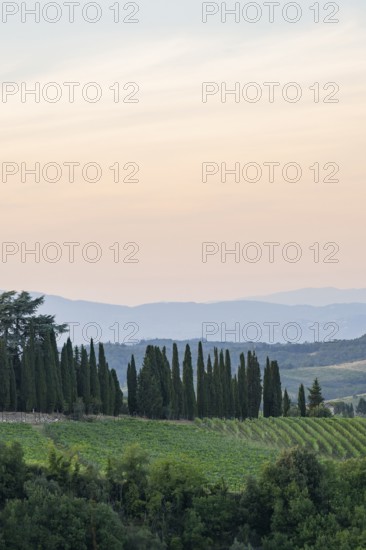Tuscan landscape next to greve in Chianti and Montefioralle, country estate with vineyards,