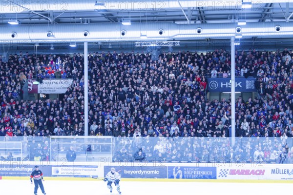 Full stands with fans at an ice hockey game in a large stadium, Heilbronner Falken Vs Bietigheimer