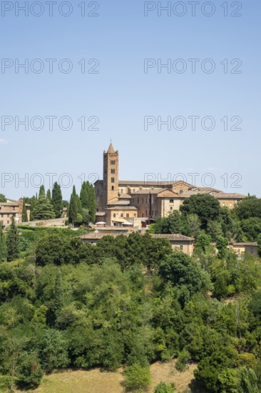Basilica di San Clemente, historical, building, alley, Siena, Tuscany, Italy, Europe