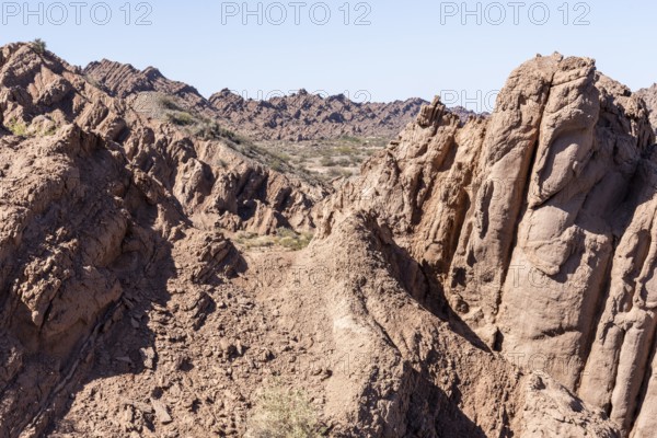 La Ciénaga Natural Area, San Juan Province, Argentina, South America