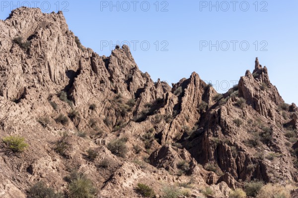 La Ciénaga Natural Area, San Juan Province, Argentina, South America