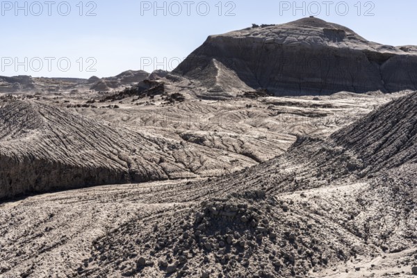 Ischigualasto Provincial Park, Villa San Agustín, San Juan Province, Argentina, South America