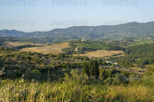 Tuscan landscape, country estate with vineyards, forests, olive trees and cypresses in Chianti,