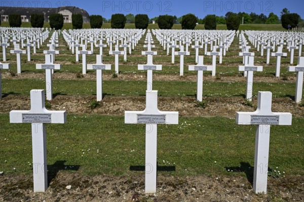 Crosses at the military cemetery near the Douaumont ossuary, First World War, Verdun, Grand Est