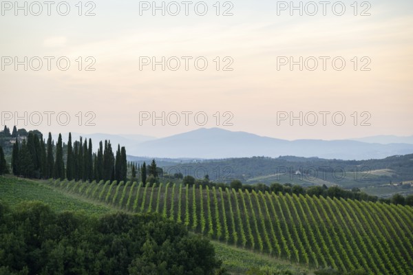 Tuscan landscape next to greve in Chianti and Montefioralle, country estate with vineyards,