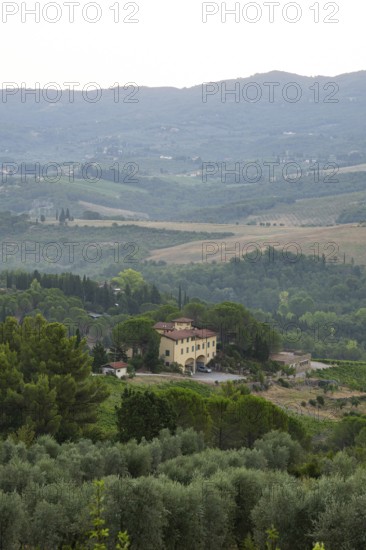 Tuscan landscape at sunrise, country estate with a farm house, vineyards, forests, olive trees and