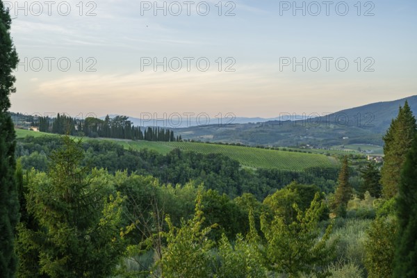 Tuscan landscape next to greve in Chianti and Montefioralle, country estate with vineyards,