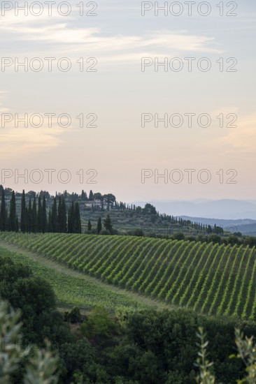 Tuscan landscape next to greve in Chianti and Montefioralle, country estate with vineyards,