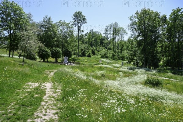 Site of the destroyed village of Fleury-devant-Douaumont, Verdun battlefield, First World War,