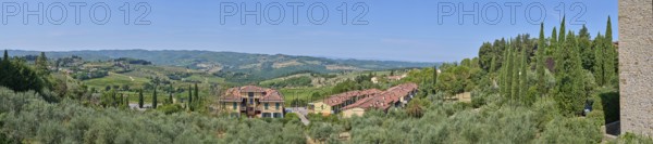 Tuscan landscape, country estate with vineyards, forests, olive trees and cypresses in Chianti,