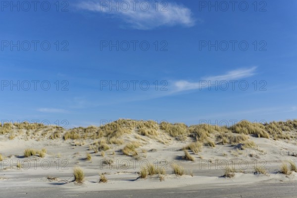 The East Frisian North Sea island of Juist in winter, dunes on the western part of the island, at