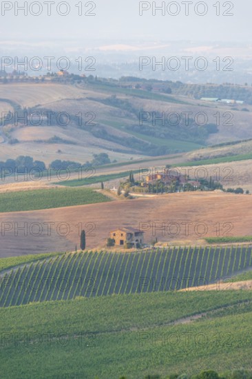 Hilly landscape in Tuscany, view from the upper city wall of Montepulciano, Tuscany, Italy, Europe