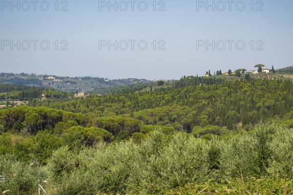 Tuscan landscape, country estate with a farm house, olive trees and forests in Chianti, Chianti