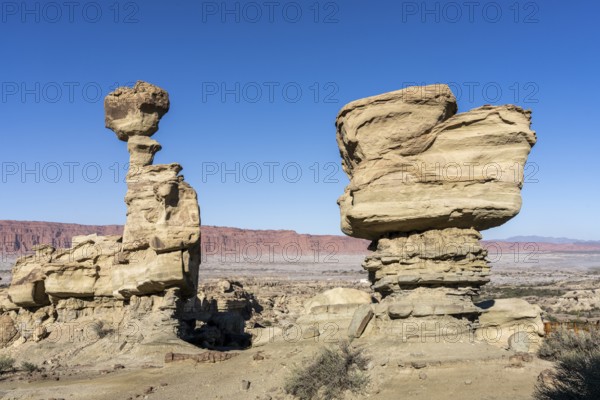 Ischigualasto Provincial Park, Villa San Agustín, San Juan Province, Argentina, South America