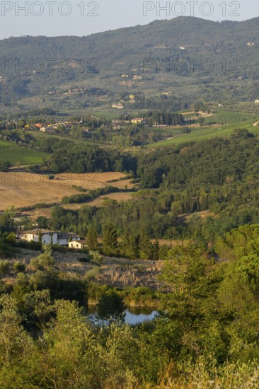 Tuscan landscape, country estate with vineyards, forests, olive trees and cypresses in Chianti,