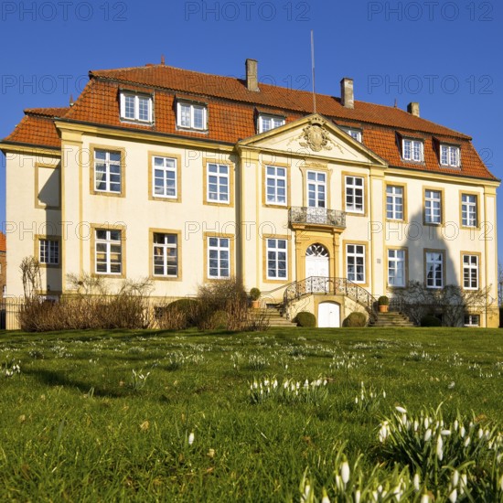 Freckenhorst Castle with snowdrops (Galanthus), Warendorf, Münsterland, North Rhine-Westphalia,