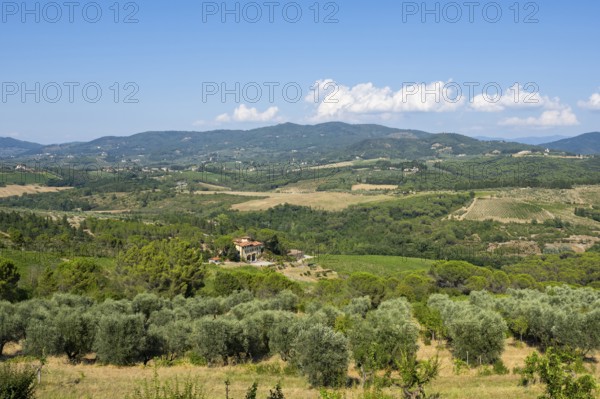 Tuscan landscape, country estate with vineyards, forests, olive trees and cypresses in Chianti,
