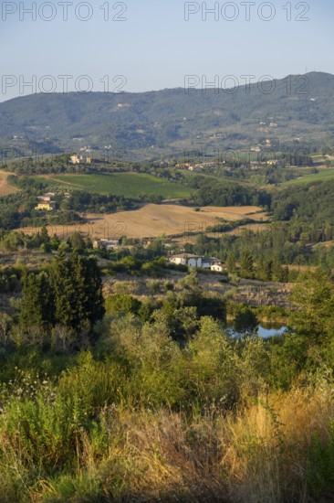 Tuscan landscape, country estate with vineyards, forests, olive trees and cypresses in Chianti,