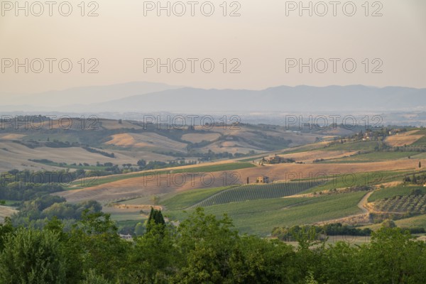Hilly landscape in Tuscany, view from the upper city wall of Montepulciano, Tuscany, Italy, Europe