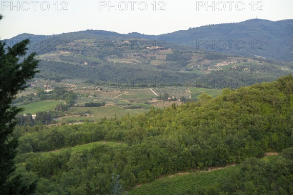 Tuscan landscape next to greve in Chianti and Montefioralle, country estate with vineyards,