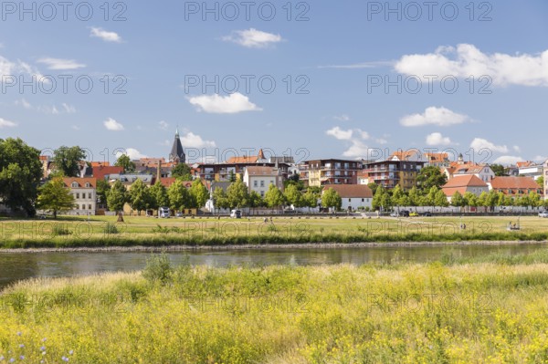 City view over the Elbe with Trinitatis Church, Riesa, Saxony, Germany, Europe