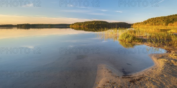 Lake Fürstensee, beach with reeds in the evening light, Müritz National Park, Fürstensee,