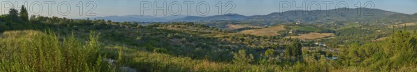 Tuscan landscape, country estate with vineyards, forests, olive trees and cypresses in Chianti,